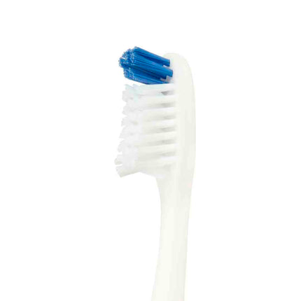 FALCON Toothbrush with Curved Filaments Profile