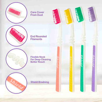 Shield Adult Toothbrushes: Elevate Your Oral Care Routine – Shield Pakistan