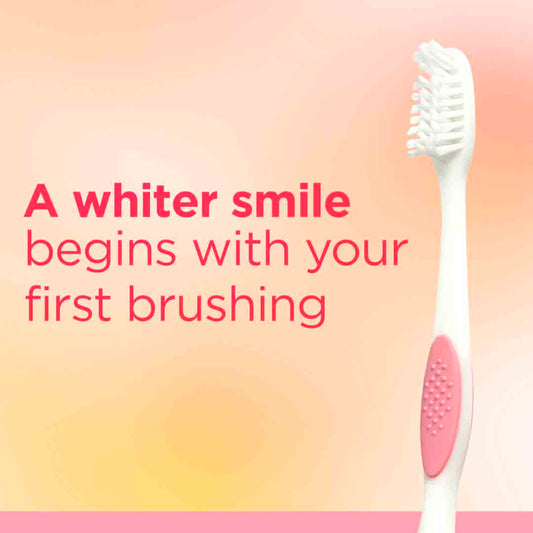 Shield Adult Toothbrushes Elevate Your Oral Care Routine Shield Pakistan